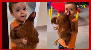 Menino surpreende mãe ao 'fazer amizade' com galinha e levar animal para dentro de casa