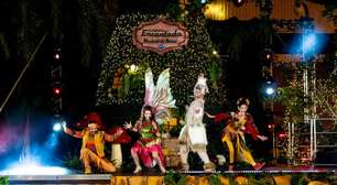 Musical gratuito "Floresta Encantada" e decoração natalina surpeendem no Natal em Amparo