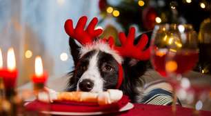 10 comidas de Natal e Ano Novo tóxicas para cachorros