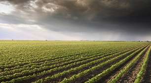 Chuva no interior do Brasil favorece aumento da umidade do solo