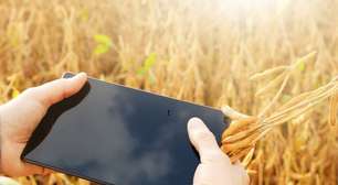 Agro se torna alvo de cibercriminosos que roubam dados de fazendas e empresas