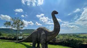 Pousada Vale do Dinossauro em São Pedro oferece experiência temática e divertida para famílias