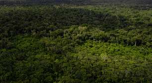 Amazônia pode atingir 'ponto de não retorno' até 2050, diz estudo