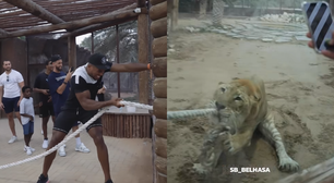Ex-campeão mundial de boxe perde cabo de guerra para felino exótico em Dubai; veja o vídeo
