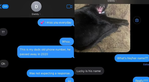 Mulher é surpreendida com resposta ao mandar mensagem para o celular do pai falecido