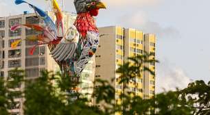 "Frevo no Planeta Galo": sustentabilidade será tema principal do Galo da Madrugada em 2026