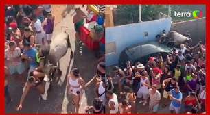 Vaca 'invade' bloco de carnaval e deixa pessoas feridas no Rio Grande do Norte