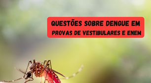 Dengue: veja questões de vestibulares e Enem sobre a doença