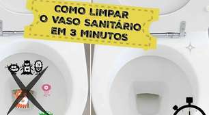 Veja como limpar vaso sanitário rapidinho sem gastar com produtos de limpeza caros