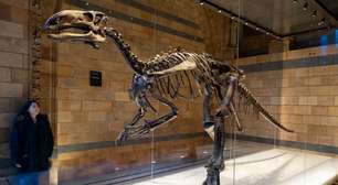 Asteroide que acabou com dinossauros pode ter ajudado outros animais; entenda novo estudo