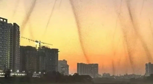 'Tornados' de mosquitos causam pânico em moradores de cidade da Índia