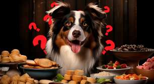 10 alimentos comuns que você não deve dar ao seu cão