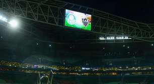 Nova grama da arena do Palmeiras sairá de Portugal até o fim do mês