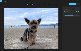 App Fotos do Windows ganha IA para remover objetos de imagens