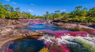 Entenda fenômeno que faz rio na Colômbia ter cores vibrantes e ser conhecido como 'arco-íris líquido'