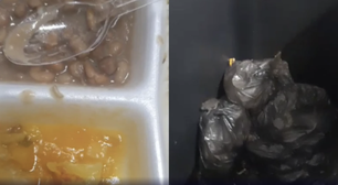 Pacientes denunciam larvas em comida e ratos em UPA de BH