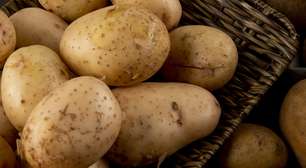 Tipos de batata: confira quais são eles e como usar cada um na cozinha