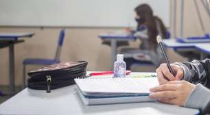 Deputados pedem investigação após governo do Paraná recolher das escolas 'O avesso da pele'