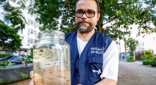 Peixe come larva do mosquito da denguecasas de apostas depósito mínimo 5 reaiscomunidades do RJ