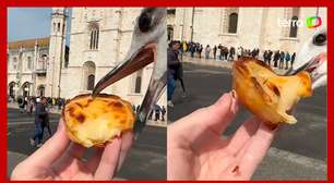 Casal passa horas em fila de restaurante em Lisboa e tem comida roubada por pássaro