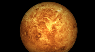 O que significa o seu signo de Vênus?