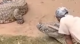 Tratador escapa de ter partes íntimas devoradas por crocodilo de 4 metros em zoológico