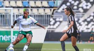 Palmeiras x Botafogo no Brasileirão Feminino: onde assistir e escalações