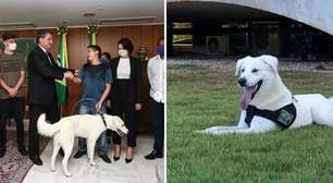 Michelle Bolsonaro aciona STF contra Erika Hilton por post sobre cachorro; entenda