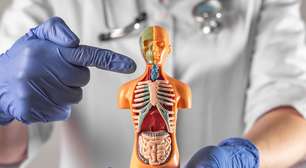 8 órgãos do corpo humano que você pode viver mesmo sem eles