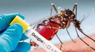 Epidemia de dengue: Rio ultrapassa 150 000 casos da doença