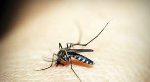Capital paulista vai receber doses da vacina contra a dengue