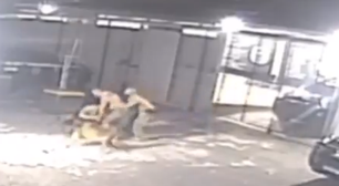 Policiais de SP brigam por escala de folga na Páscoa e são mordidos por cães do grupamento