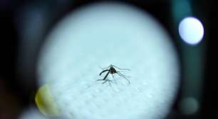 Jovem é diagnosticado com dengue na Itália após ida à Argentina