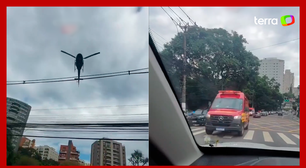 Homem é baleado por policial à paisana durante arrastão em avenida de São Paulo