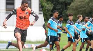 Botafogo e Grêmio no Brasileirão Sub-20: onde assistir e escalações