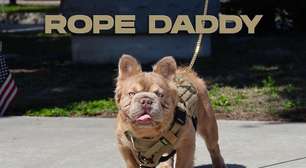 Conheça Rope Daddy, o 'cachorro mais caro do mundo'