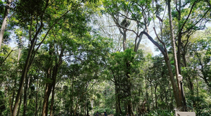 Parque Trianon celebra 132 anos com programação gratuita