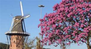 Além da beleza: Conheça a utilidade dos moinhos de vento