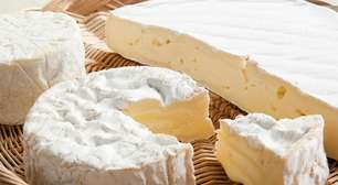 Conheça o fungo que enfrenta risco de extinção e pode acabar com a produção do queijo brie