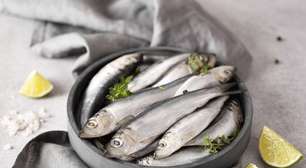 Como preparar sardinha: confira 3 receitas tradicionais simples