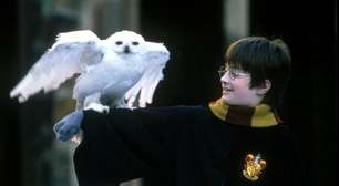 'Harry Potter': Série tem lançamento previsto para 2026; veja tudo o que se sabe do projeto