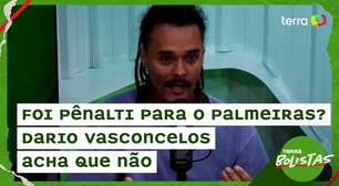 Foi pênalti para o Palmeiras? Dario Vasconcelos acha que não.