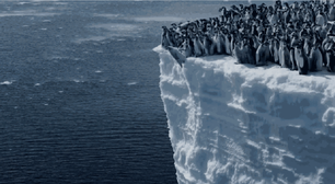 Filhotes de pinguins saltam de penhasco de 15 metros na Antártica para nadar pela primeira vez; veja