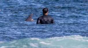 Golfinho ou tubarão? Italo Ferreira registra momento em que encontra animal no mar