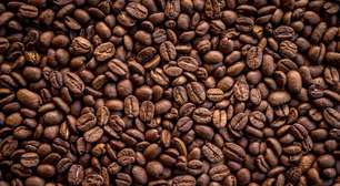 Dia Mundial do Café: o que torna um café de qualidade?