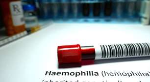 Hoje (17) é o Dia Mundial da Hemofilia: entenda melhor o que é esta doença