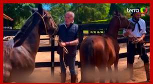 BBB 24: Matteus é presenteado com dois cavalos pelo diretor Jayme Monjardim