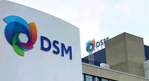 Multinacional holandesa DSM contrata mulheres para linha de produção em Mairinque. Empresa oferece 20 benefícios