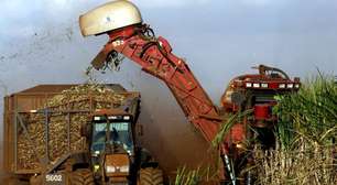 Brasil fecha safra 2023/24 de cana com recorde de 700 milhões de toneladas