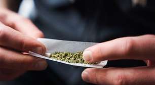 Cannabis: por que a droga não é tão inofensiva como fazem acreditar?